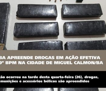 Polícia Militar apreende drogas e munições em ação do 29º BPM em Miguel Calmon