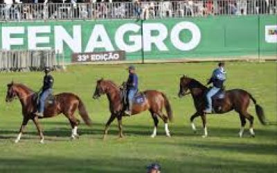 Fenagro 2025 deve reunir público acima de 200 mil pessoas e ampliar espaço dedicado ao agronegócio na Bahia